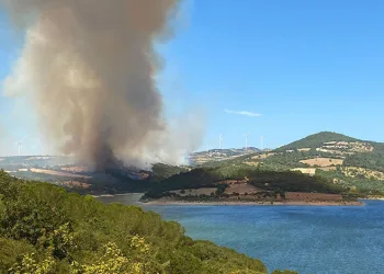 Çanakkale Bayramiç’te orman yangını