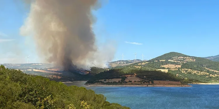 Çanakkale Bayramiç’te orman yangını