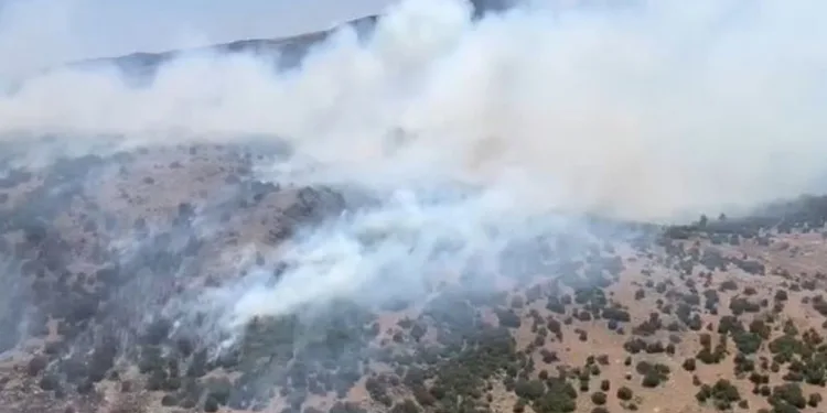 Manisa’da orman yangını