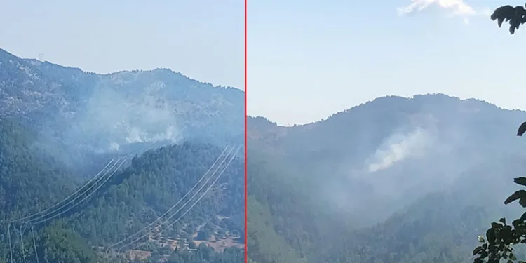 Orman yangınına müdahale eden helikopter düştü