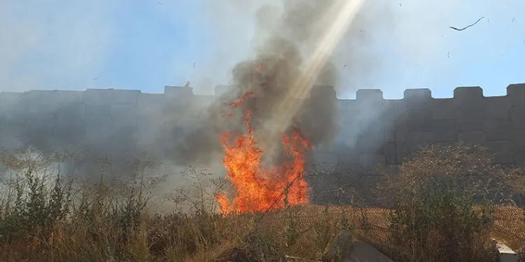 Edirne’de kaynak makinesinden çıkan kıvılcım 2 dekar buğdayı yaktı