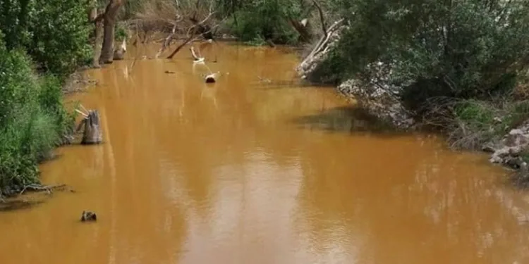Ova Çayı kötü koku ve sivrisinekten geçilmiyor