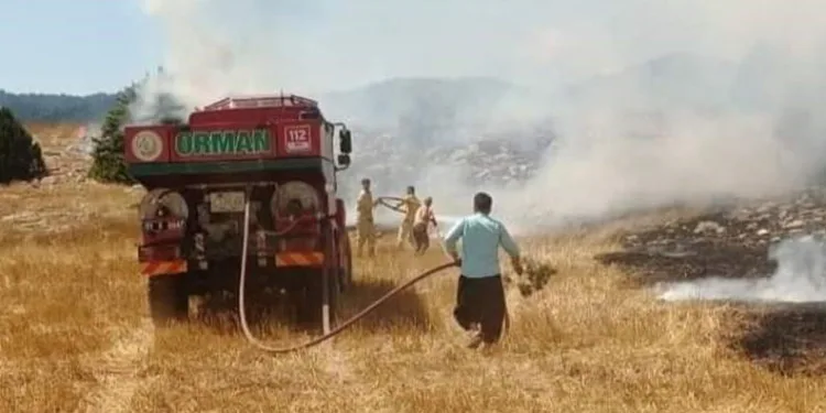Anız yangını ormana sıçradı, ekipler müdahale ediyor