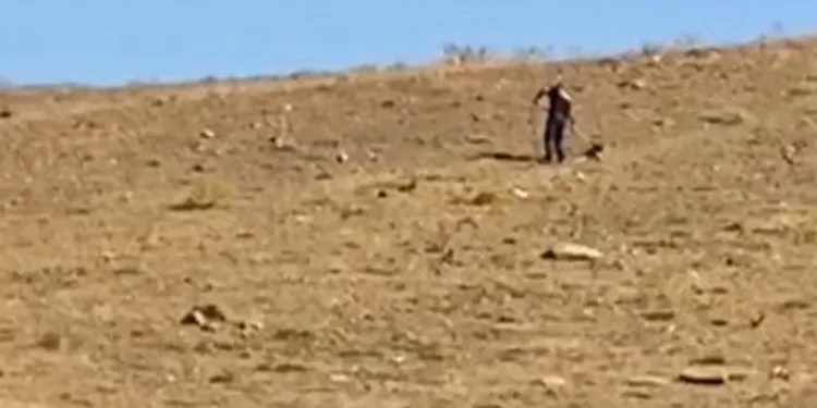 Elazığ’da toplanan sokak köpekleri Hayvan Bakımevi ve Rehabilitasyon Merkezi’nde kontrol altına alınıyor