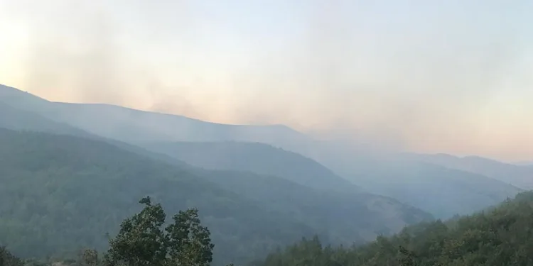 Orman yangınına müdahale eden operatör hayatını kaybetti