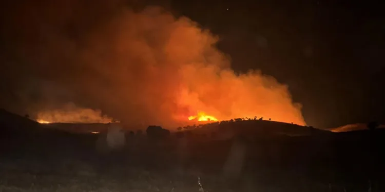 Mardin’de 2 farklı noktada çıkan anız yangını söndürüldü