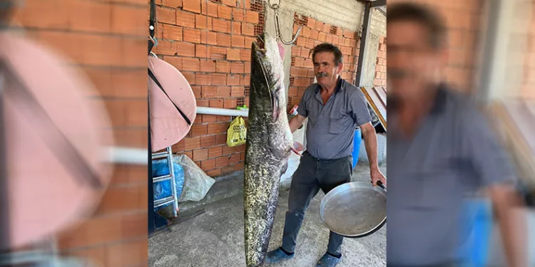 Bursa’da barajda 87 kilogramlık balık yakalandı