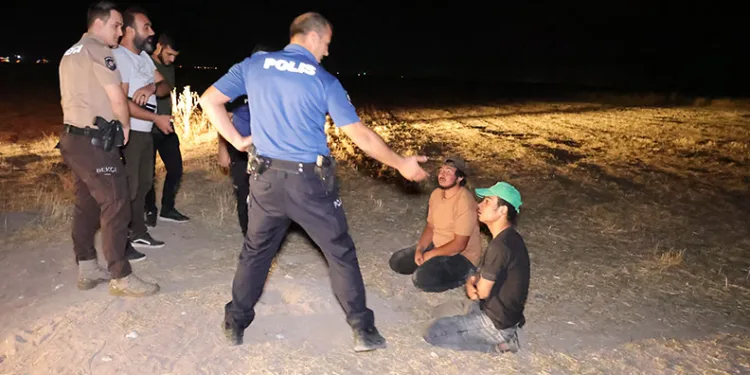 Kaçak göçmenler arpa tarlasında yakalandı