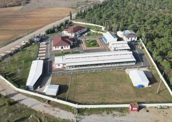 266 can dostu yeni yuvasına kavuştu