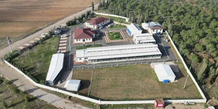 266 can dostu yeni yuvasına kavuştu