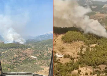 Antalya’da orman yangını