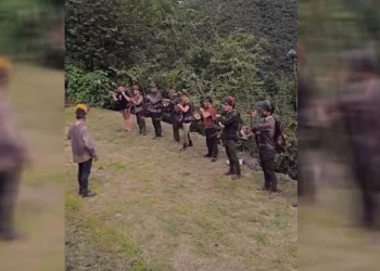 Fındık hasadında komando yemini
