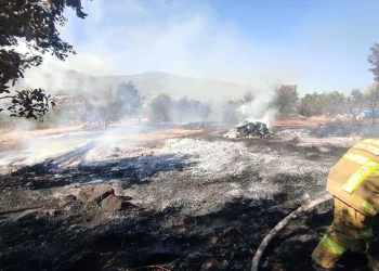 Traktörde başlayan yangın makilik alana sıçradı