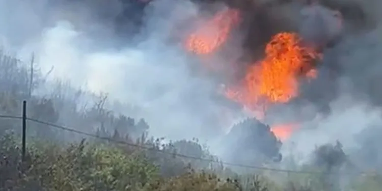 Tokat’ta 8 hektar alan kül oldu