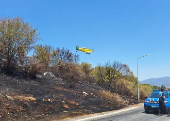 Efes’te korkutan yangın