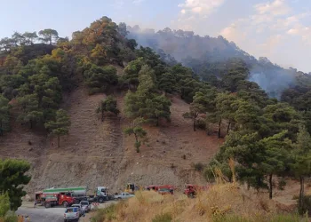 Manisa’daki yangın kontrol altında