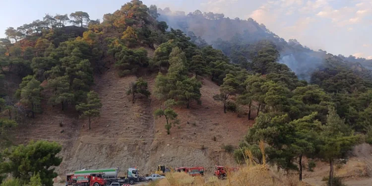 Manisa’daki yangın kontrol altında