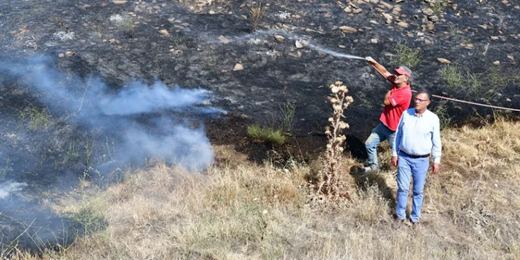 Manisa’daki orman yangını kontrol altına alındı
