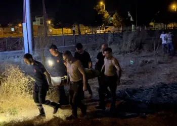 Bursa’da kediyi kurtarmak isterken derede mahsur kaldı