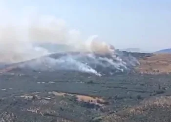 Erdek’te orman yangını