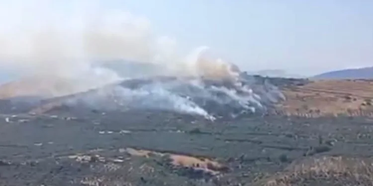 Erdek’te orman yangını