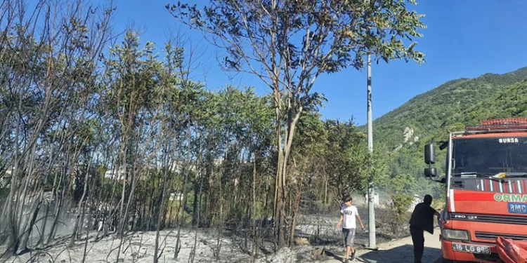 Uludağ eteklerindeki ormanlık alanda korkutan yangın