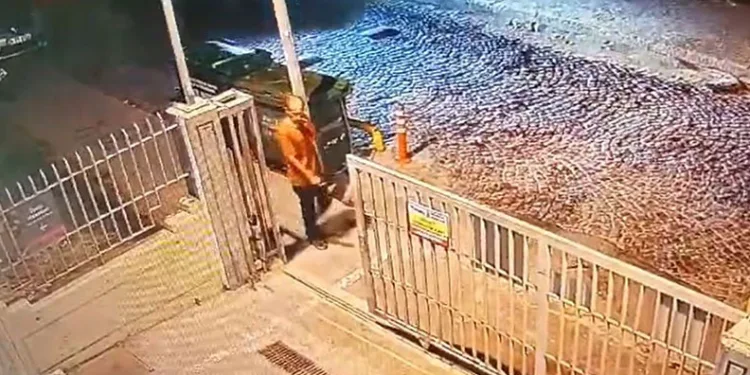 Korkunç ölüm! Sokak köpekleri parçaladı