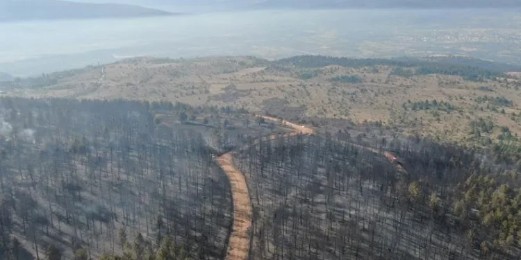 AFAD’tan Çankırı yangınına ilişkin açıklama