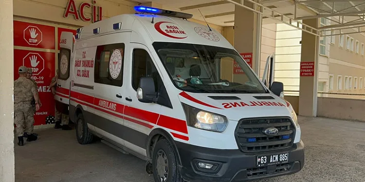 Siverek’te çiftçi domuzun saldırısına uğradı