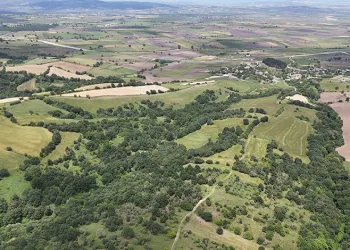 2025’in en trend yatırım aracı arazi olacak
