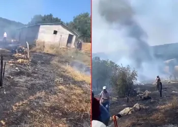 Karacabey’de otluk alanda çıkan yangın korkuttu
