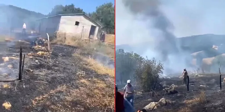 Karacabey’de otluk alanda çıkan yangın korkuttu