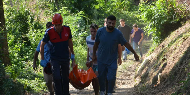 Kökünden kopan incir ağacı yaşlı adamın sonu oldu