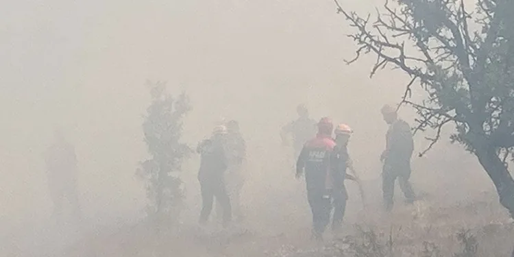 Bolu’da kontrol altına alınan yangın tekrar alevlendi
