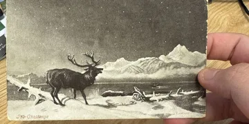 1903 yılında gönderilen kartpostal 121 yıl sonra teslim edildi