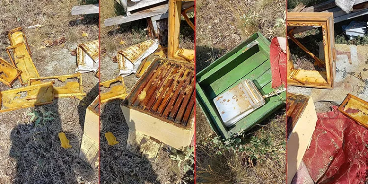 Acıkan ayı arı kovanlarını parçaladı