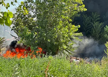 Bursa’da otluk alanda korkutan yangın