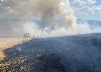 İzmir, Bolu ve Manisa’da orman yangınları: Evler yanıyor!