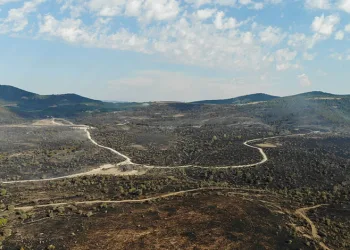 Ankara-Bolu sınırında yanan bölge görüntülendi