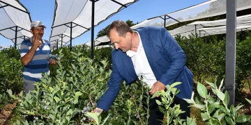 İznik tarımı için önemli adım