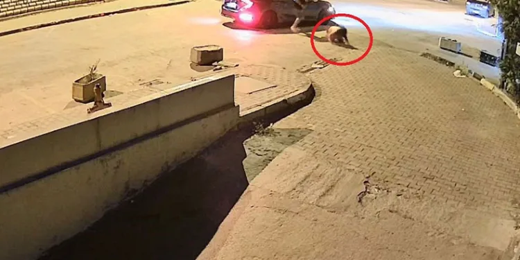 Bursa’da sevgilisini dakikalarca darp etti