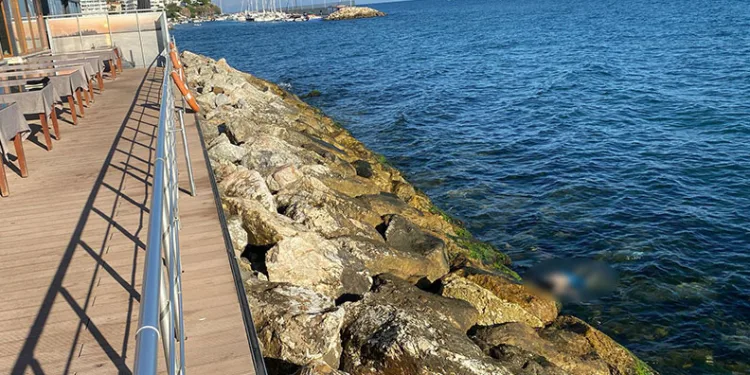 Mudanya’da kayalıklarda erkek cesedi bulundu