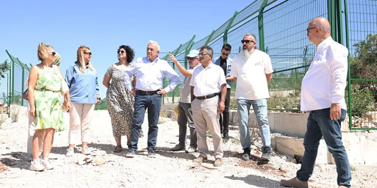 Şadi Özdemir sokak hayvanları projesini inceledi