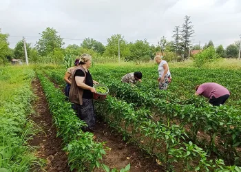 Çiftçiliğe kadın imzası