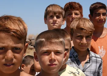 Van Gölü’ne girenlerin saçları sarardı