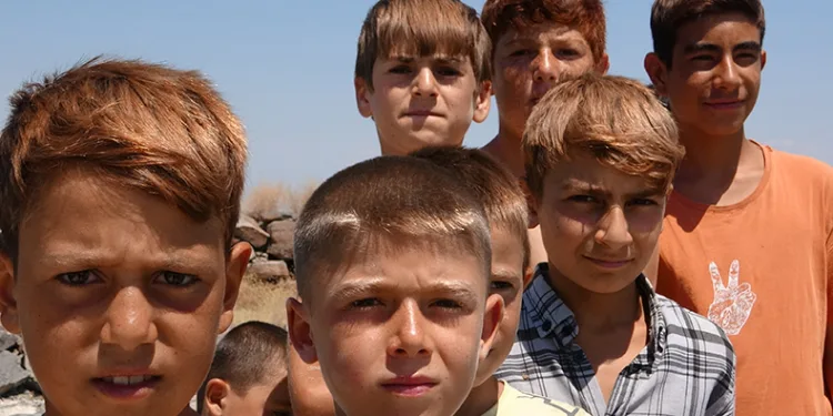 Van Gölü’ne girenlerin saçları sarardı