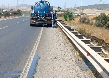 Yol kenarına atılan sigara izmariti yangına sebep oldu