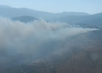 Hatay’da orman yangını