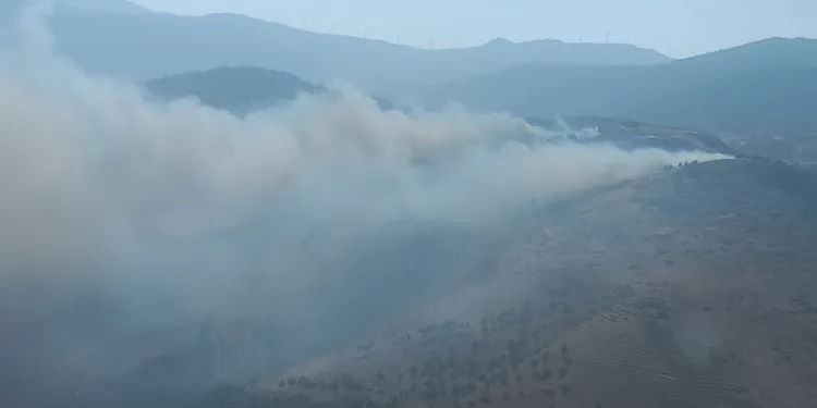 Hatay’da orman yangını