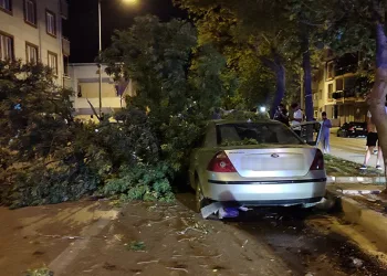 Direksiyon hakimiyetini kaybetti, ağaca çarptı